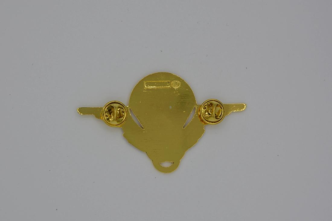 Brevet moniteur para